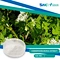Commiphora Mukul extract is a natural extract derived from the resin of the Commiphora Mukul, also known as Guggul. It is a small shrub that grows in India and has been used for centuries in Ayurvedic medicine.